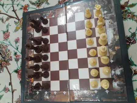 شطرنج آماندا مدل شوالیه