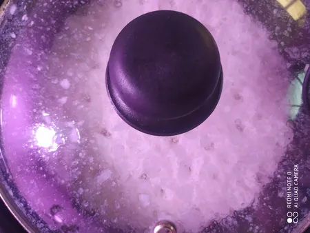 پلوپز هاردستون مدل RCM6310W