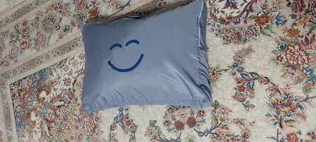بالش آکسون مدل پر غاز topz