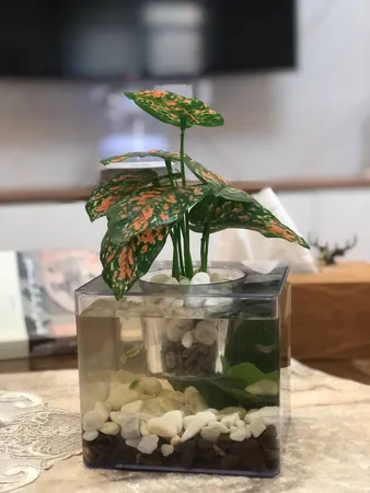 گلدان طرح آکواریوم کد ck106