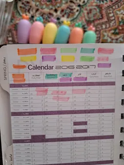 ماژیک علامت گذار مدل پاستلی طرح هویج بسته 6 عددی