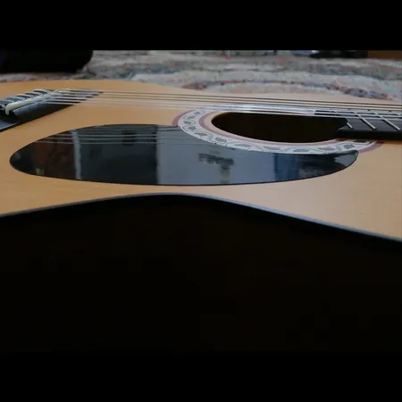 گلپیدور گیتار مدل BLACK200