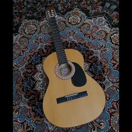 گلپیدور گیتار مدل BLACK200