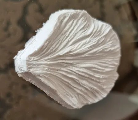 قالب فوندانت و کاتر شیرینی پزی به گز مدل گل پیونی مجموعه 6 عددی