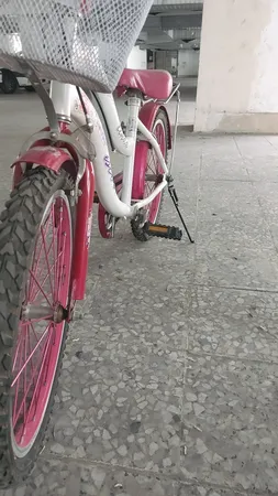 جک دوچرخه مدل 20 کد S 1385