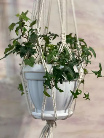 گلدان مدل آزالیا کد 525