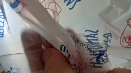 پاکت یکبار مصرف ساندویچ پنگوئن مدل P100 دو بسته 100 عددی