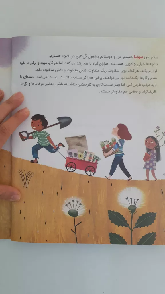 کتاب کافیه بپرسی اثر سونیا سوتومایر نشر مهرسا