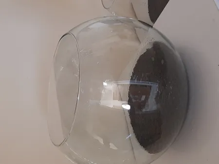 بذر پلنت آکواریوم مدل چمن ریز کوبایی