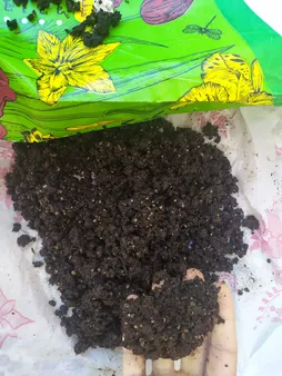 خاک برگ گیلدا کد GB12L حجم 12 لیتر