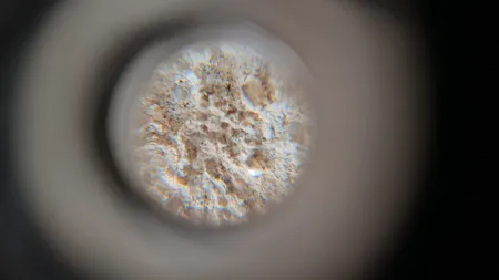 میکروسکوپ مدل 100x