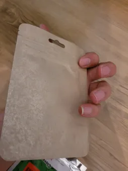 بذر بنسای افرا قرمز ژاپنی سانیا سید مدل S3