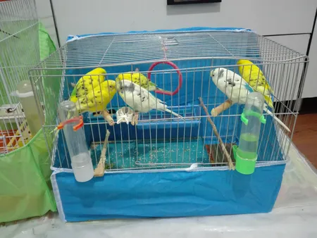 کاور قفس حیوانات کد 1030