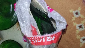 تجریه خرید ظرف سرو مدل روبلمه رویال طرح پروانه مجموعه ۲ عددی