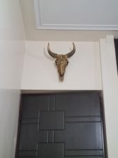 تندیس مدل جمجمه گاو