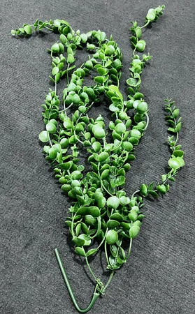 دسته گل مصنوعی مدل آبشار کد 486