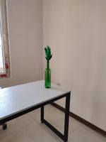 گل خشک مدل دم روباهی 10_4