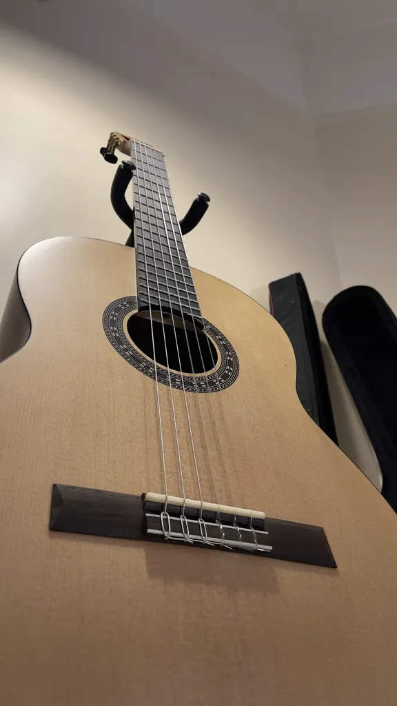 گیتار کلاسیک پالادو مدل CG-90