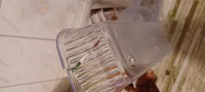 تجریه خرید نظم دهنده داخل کشو دومان مدل هیوا