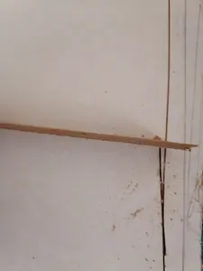 تجریه خرید تیغ فرز انگشتی کد 47362 مجموعه 6 عددی