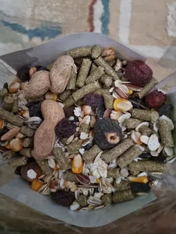 غذای همستر گرین فیل مدل HF2020 وزن 1000 گرم