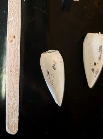 لوستر چشمه نور 3 شعله کد 2540/3WT