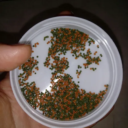 غذای خشک ماهی انرژی مدل مینی گرانول 20 گرم