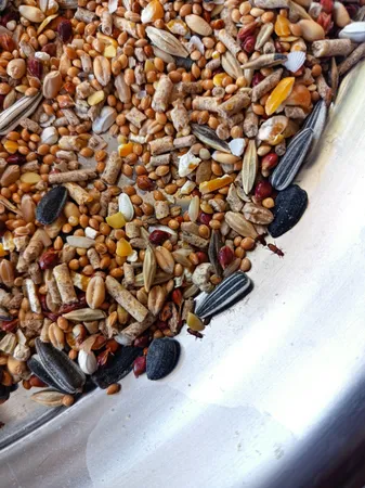 غذای خشک طوطی سانان مای برد کد GJ وزن 1 کیلوگرم