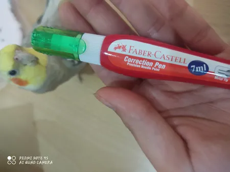 غلط گیر قلمی فابر کاستل مدل Metal Tip