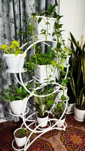 تجریه خرید استند گلدان دکومرآت مدل گلبان