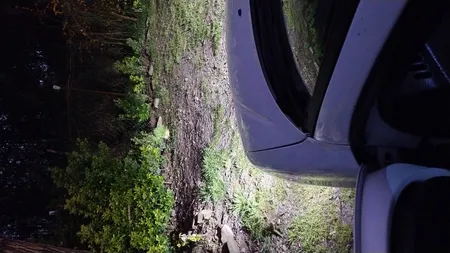 لامپ هدلایت خودرو مدل C6 H1 مناسب برای پژو 206 بسته دو عددی