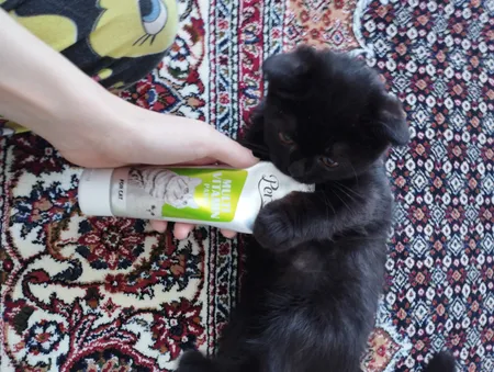 خمیر مولتی ویتامین گربه پرسا مدل new