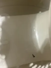 تجریه خرید سطل و زمین شوی همارا مدل Rotating Bucket 8699