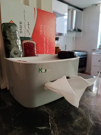 جا دستمال کاغذی مدل H109