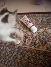 تجریه خرید خمیر مولتی ویتامین سگ و گربه کاکو مدل Multiple وزن 100 گرم