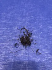 تجریه خرید شلوار زنانه مدل کارگو بنگال