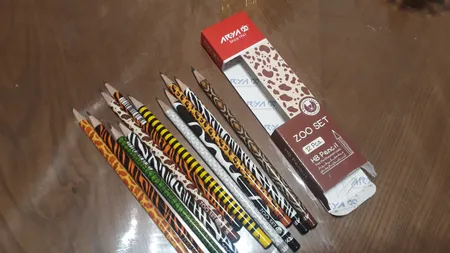 مداد مشکی آریا مدل ZOO SET کدA1 بسته 12 عددی