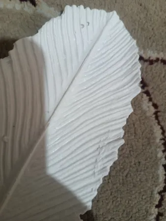 جاعودی طرح پر مدل x2