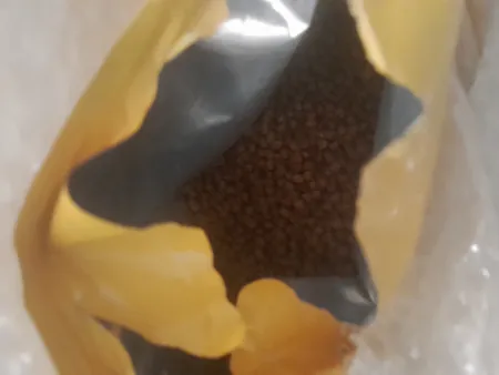 غذای خشک بچه گربه فیدار مدل کیتن وزن 10 کیلوگرم