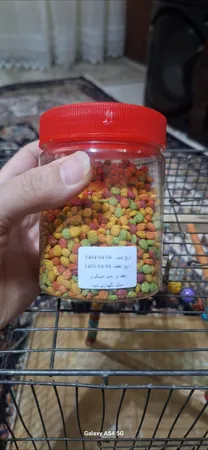 غذای عروس هلندی مدل پلت میوه ای وزن 150گرم