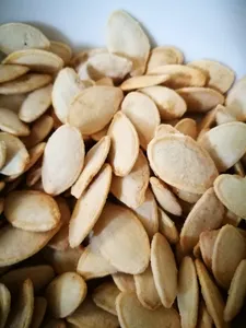 تجریه خرید تخمه کدو گوشتی چاپار مقدار 400 گرم