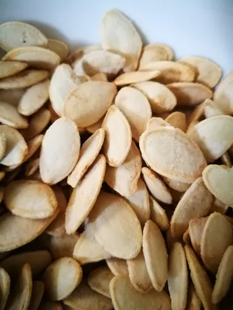 تخمه کدو گوشتی چاپار مقدار 400 گرم