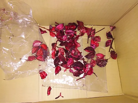 گل خشک مدل 501