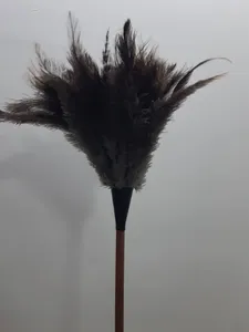 تجریه خرید گردگیر آلین مدل Ostrich Feather 5