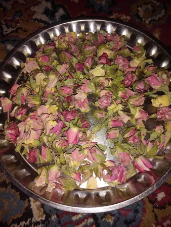 غنچه گل رز خشک مدل sanaz