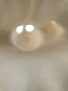 تجریه خرید مجسمه مدل ghost