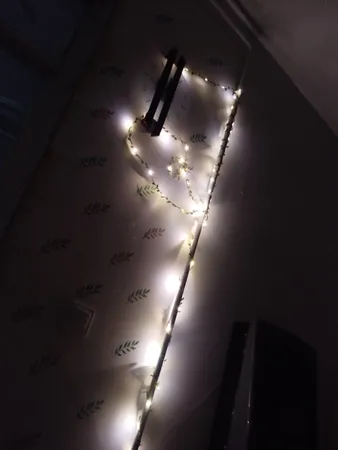 ریسه ال ای دی طرح برگ طول 5 متر