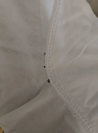 شورت مردانه آریان نخ باف کد 1411 بسته سه عددی