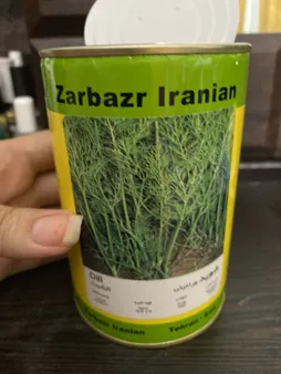 بذر شوید زر بذر ایرانیان قوطی 100 گرمی کد GH100g-10