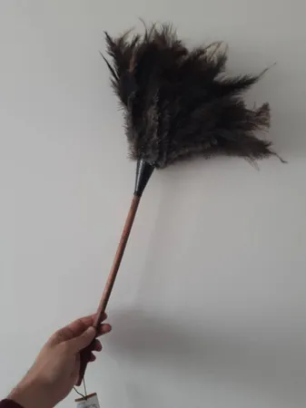 گردگیر مشهد داستر مدل Ostrich